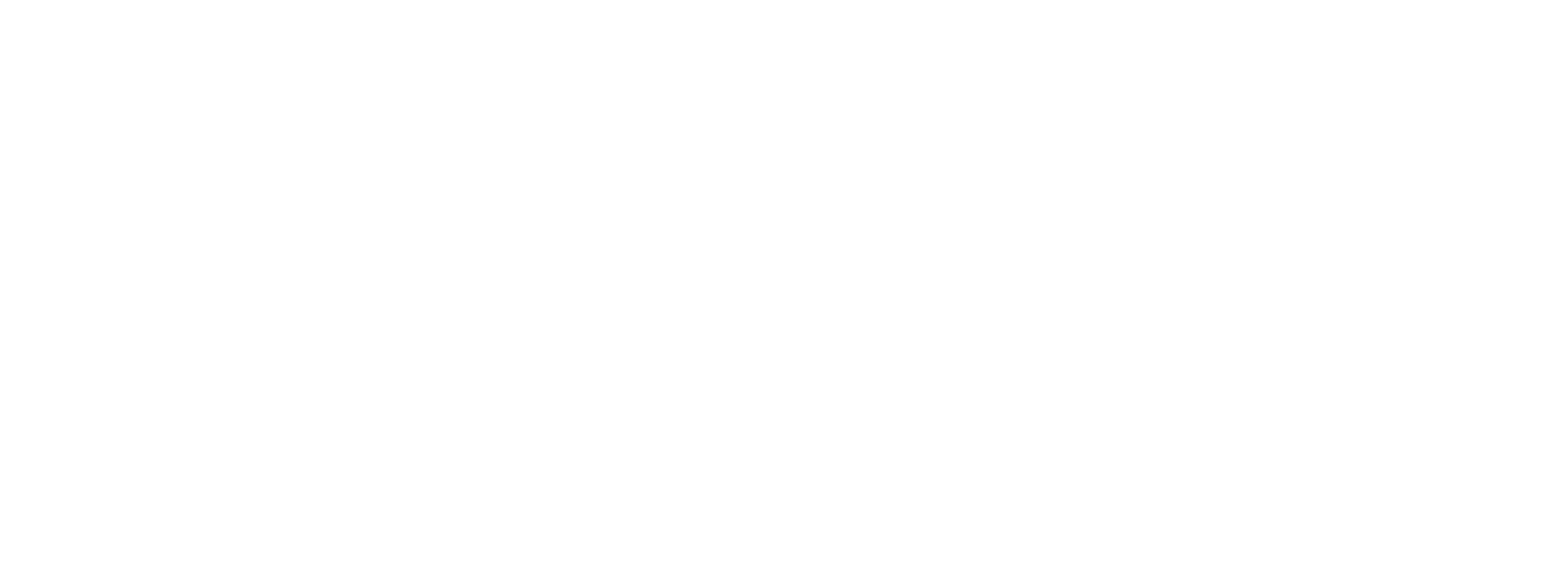 Future Leadership Lab